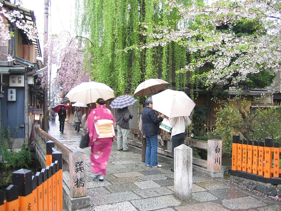 Gion Shinbashi street with cherry blossoms in spring