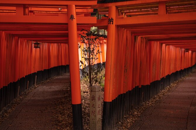 10 Must-see Spots in Kyoto One Day Private Tour (up to 7 people) - Ending in Gion