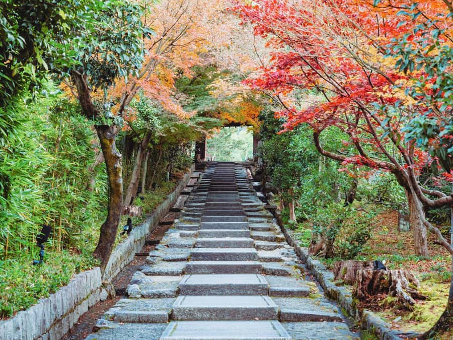 [2.3km / 1.43mi] Kyoto East Early Morning Walking Tour - Why an early Kyoto walk makes sense