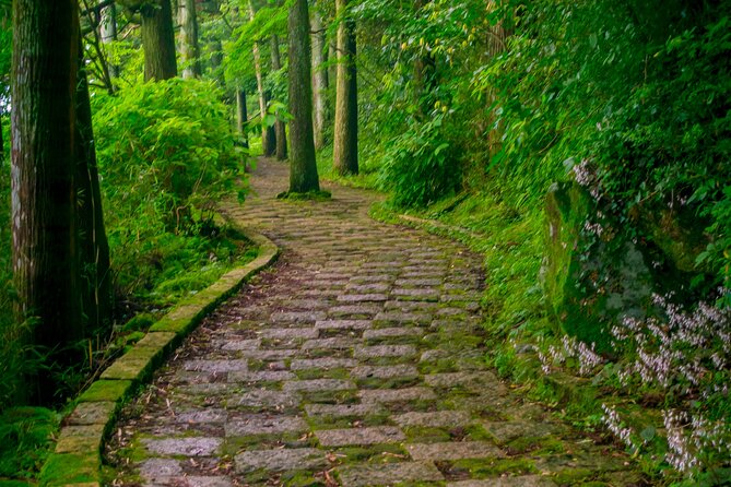 3 Day Japan Highlights Tour: Tokyo, Mt.Fuji, Nara, Kyoto, Osaka - Who will get the most from this tour