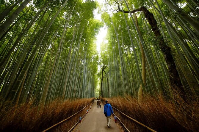 3 Day Japan Tour Kyoto, Osaka & Nara from Tokyo - Key details before you book