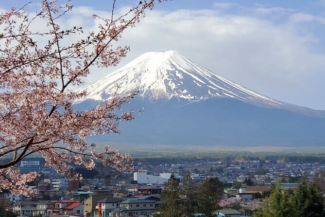 3 Day Japan Tour Kyoto, Osaka & Nara from Tokyo - Who should book this three-day route?