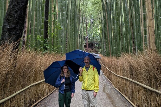 4 Hours Arashiyama and Arashiyama Monkey Park Tour - Tenryu-ji Temple and its Zen setting