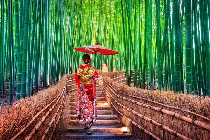 Ancient Capital Tour: Kyoto and Nara Highlights from Kyoto/Osaka - Choosing the Kyoto lunch option