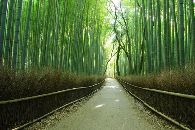 Ancient Capital Tour: Kyoto and Nara Highlights from Kyoto/Osaka - Todaiji and the Great Buddha