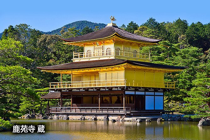 Ancient Capital Tour: Kyoto and Nara Highlights from Kyoto/Osaka - Guides, group size, and the human side of the tour