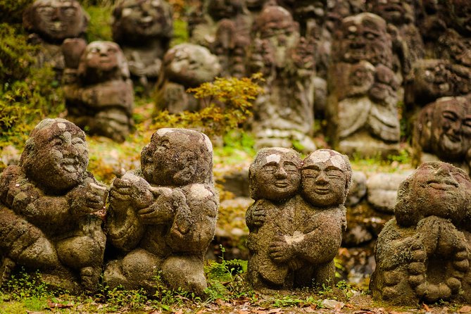Arashiyama Bamboo Forest E-Biking Tour - Key points to know before you ride