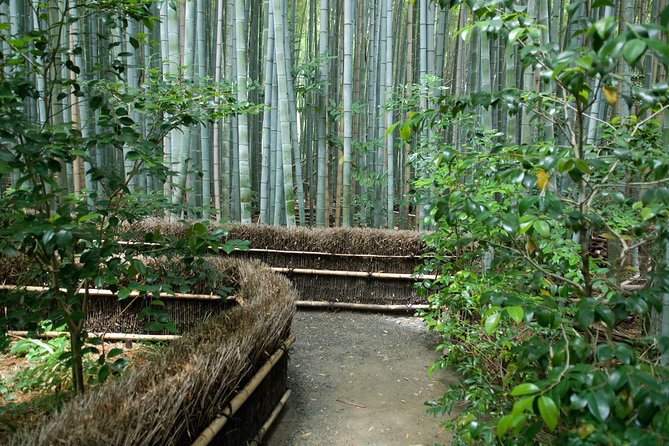 Arashiyama Bamboo Forest E-Biking Tour - Why an e-bike makes sense in Kyoto