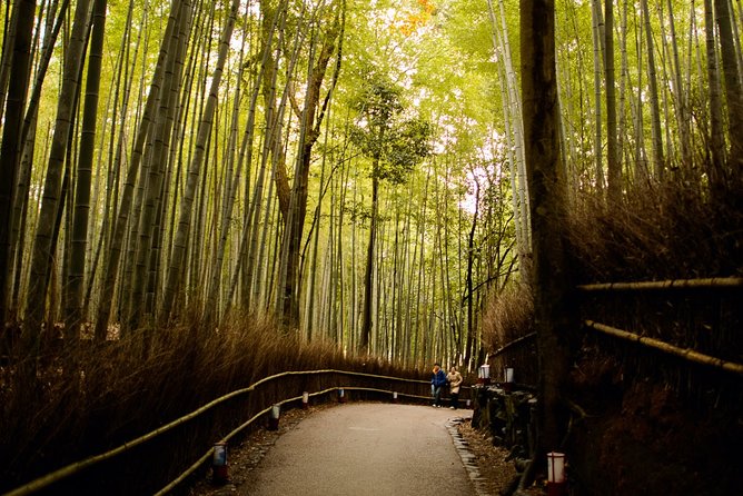 Arashiyama Bamboo Forest E-Biking Tour - Otagi Nenbutsu-ji and its 1,200 smiling figures
