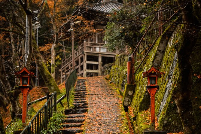 Arashiyama Bamboo Forest E-Biking Tour - Tōji-in, moss, and a slower temple visit