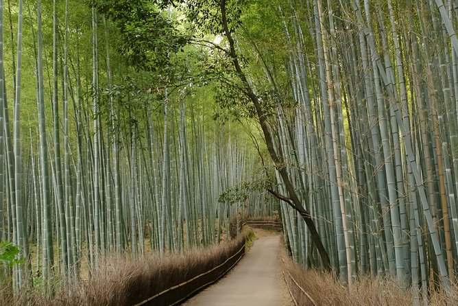 Arashiyama Bamboo Forest E-Biking Tour - The ride between the sights