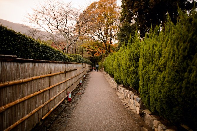 Arashiyama Bamboo Forest E-Biking Tour - Weather, clothing, and physical demands
