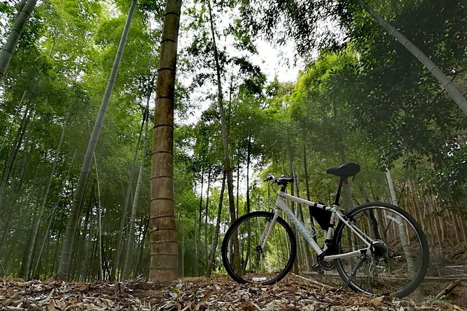 Arashiyama Bamboo Forest & Hidden Gems Bike Tour (Early Bird) - Togetsukyo Bridge and the mountain view