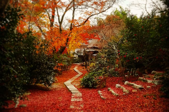 Arashiyama Bamboo Forest & Hidden Gems Bike Tour (Early Bird) - Is $106.12 a fair price?