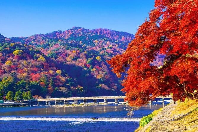 Arashiyama Bamboo & "Must See" Gardens with an Amazing Guide - Why a private Arashiyama walk can be worth it