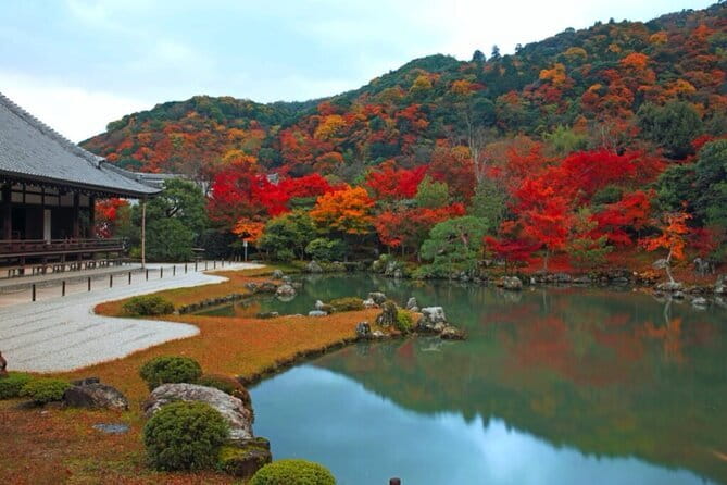 Arashiyama Bamboo & "Must See" Gardens with an Amazing Guide - Monkey Park gives you a different kind of Arashiyama