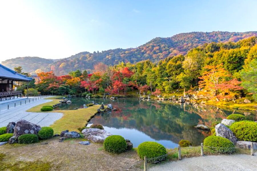 Arashiyama Bamboo, Temple, Monkeys, or Secret Sake Brewery - The alternative: local lunch and Tanzan Brewery