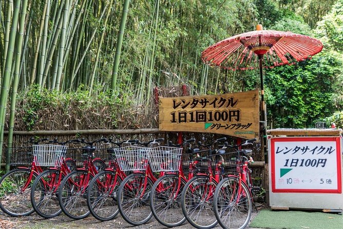 Arashiyama from Kyoto: Private & Personalized with a Local Guide - Jojakko-ji and the Ogura Mountain climb