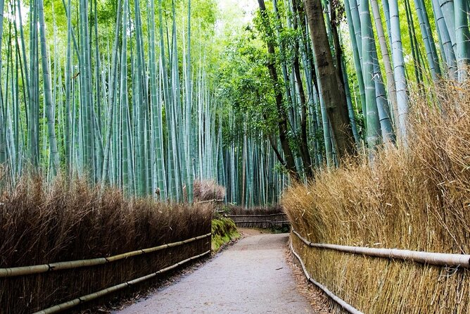 Arashiyama from Kyoto: Private & Personalized with a Local Guide - Daikaku-ji and the Tale of Genji