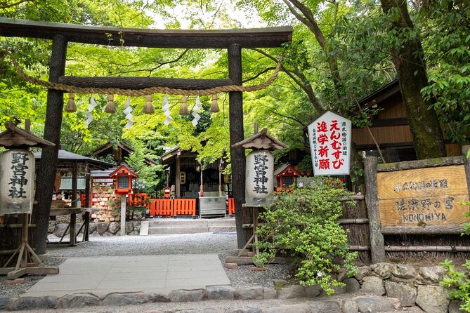 Arashiyama Hidden Gems: Walking Tour escaping crowds - The bamboo forest, with time to look up