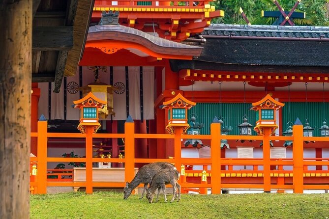 Arashiyama & Nara Highlights: One-Day Private Tour Adventure - The drive from Kyoto to Nara