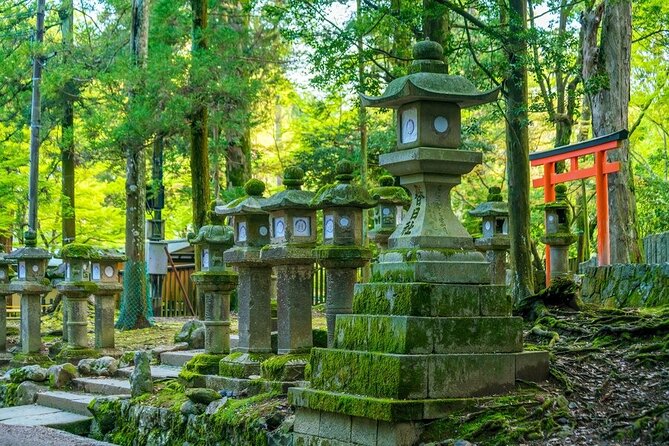 Arashiyama & Nara Highlights: One-Day Private Tour Adventure - Meeting Nara’s deer in Nara Park