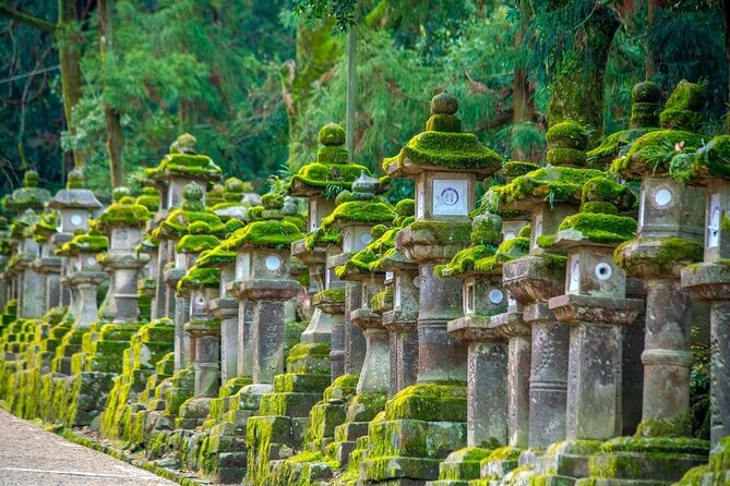 Arashiyama & Nara Highlights: One-Day Private Tour Adventure - Todai-ji and the Great Buddha Hall
