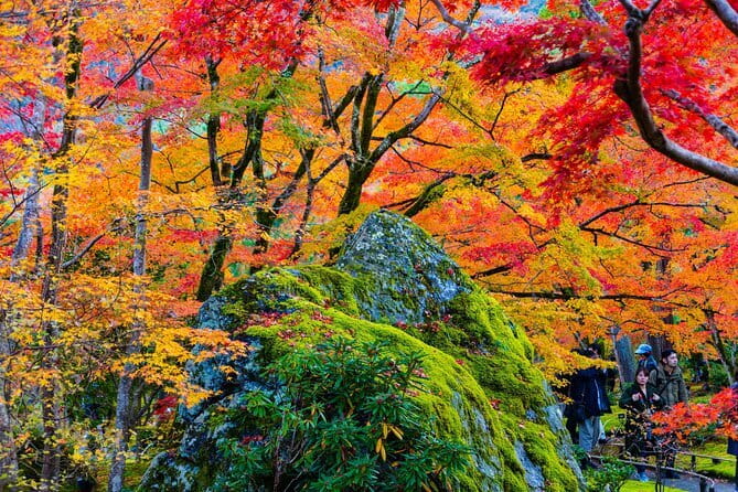 Arashiyama Walking Tour with Optional Sagano Romantic Train Ride - Why Arashiyama works so well in four hours
