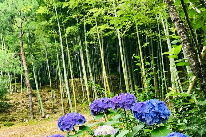 Bamboo LED Lantern Making Experience in Kyoto Arashiyama - Who should book this afternoon