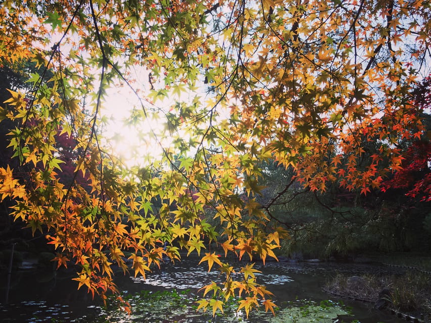 Best of Kyoto: Ginkakuji & Path of Philosophy E-Bike Tour - Key points to know before you book