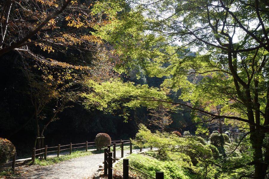 Best of Kyoto: Ginkakuji & Path of Philosophy E-Bike Tour - Why a bicycle works so well in Kyoto