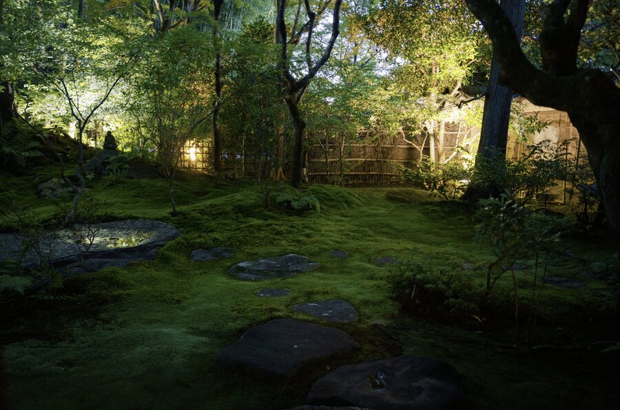 Candlelit Zen: Evening Meditation at Kyoto’s Secret Temple - Who will get the most from this experience?