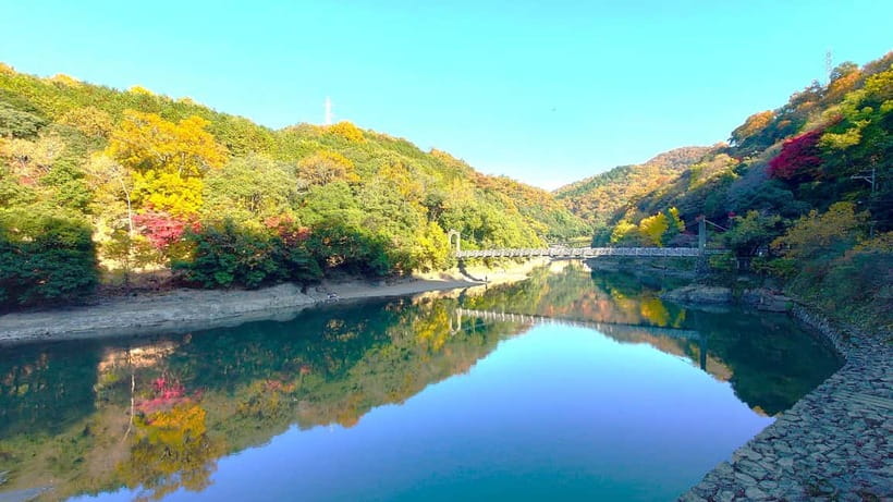 Cycling Tour at Uji's Matcha Green Tea Fields and Heritage - Why cycling is a smart way to see Uji