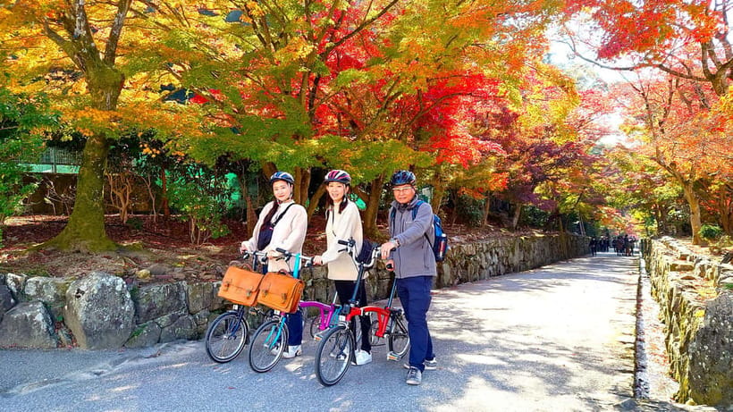 Cycling Tour at Uji's Matcha Green Tea Fields and Heritage - Chazuna and Uji’s tea culture