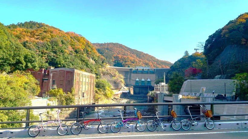 Cycling Tour at Uji's Matcha Green Tea Fields and Heritage - The quiet Uji River and Tō-no-shima Island