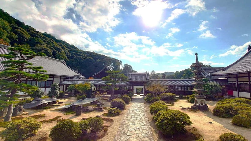 Cycling Tour at Uji's Matcha Green Tea Fields and Heritage - Kosho-ji Temple and the wooded route