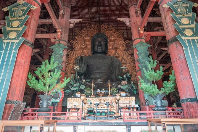 Discover Ancient Nara: Private Car Tour from Kyoto or Osaka - Why a private car changes a Nara day