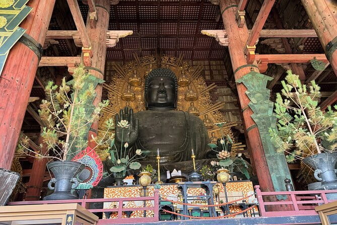 Discover Ancient Nara: Private Car Tour from Kyoto or Osaka - Kasuga Taisha in the sacred forest