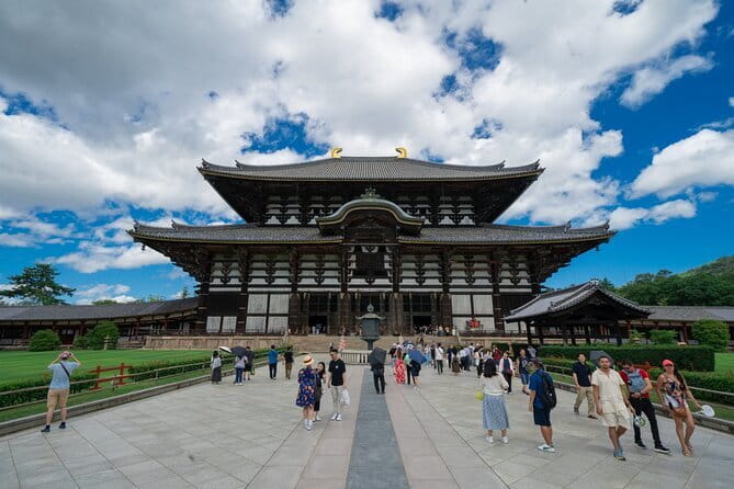 Discover Ancient Nara: Private Car Tour from Kyoto or Osaka - Nara Park and the deer