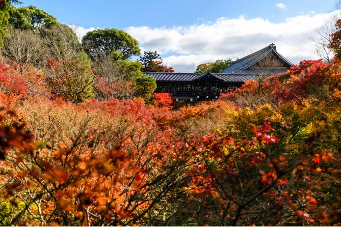 Early Bird E-biking through East Kyoto - Ginkakuji and lunch near the Silver Pavilion