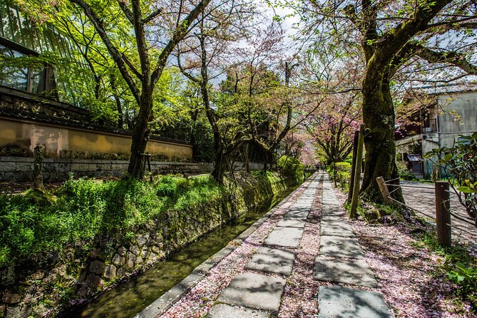 Early Bird E-biking through East Kyoto - The Philosopher’s Path at bicycle pace