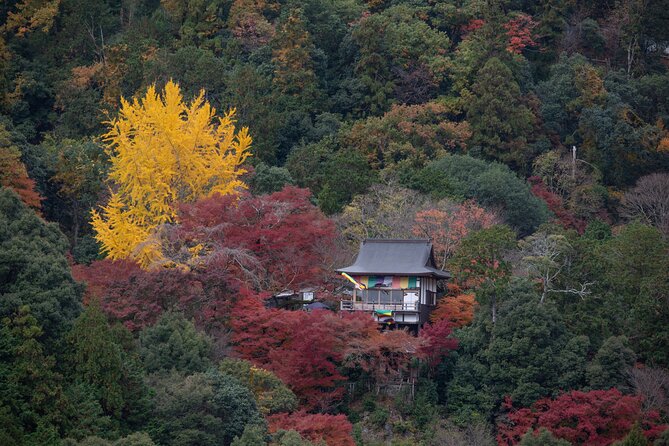Explore Arashiyama Bamboo Forest with Authentic Zen Experience - Key points to know before booking