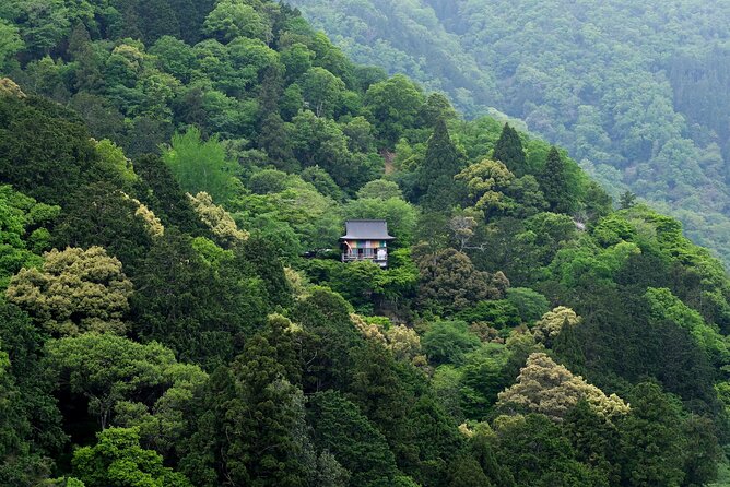Explore Arashiyama Bamboo Forest with Authentic Zen Experience - Senkoji Temple and the one-hour meditation lesson