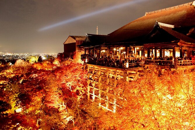 Explore Kyoto | Private Tour - Local English Driver(guide option) - Arashiyama and the bamboo grove