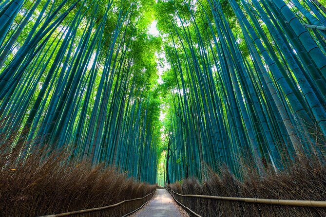 Explore Kyoto | Private Tour - Local English Driver(guide option) - Kiyomizu-dera and the Higashiyama streets