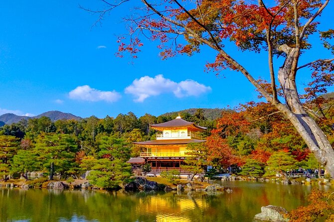 Explore Kyoto | Private Tour - Local English Driver(guide option) - Lunch, parking, and the real pace of the day