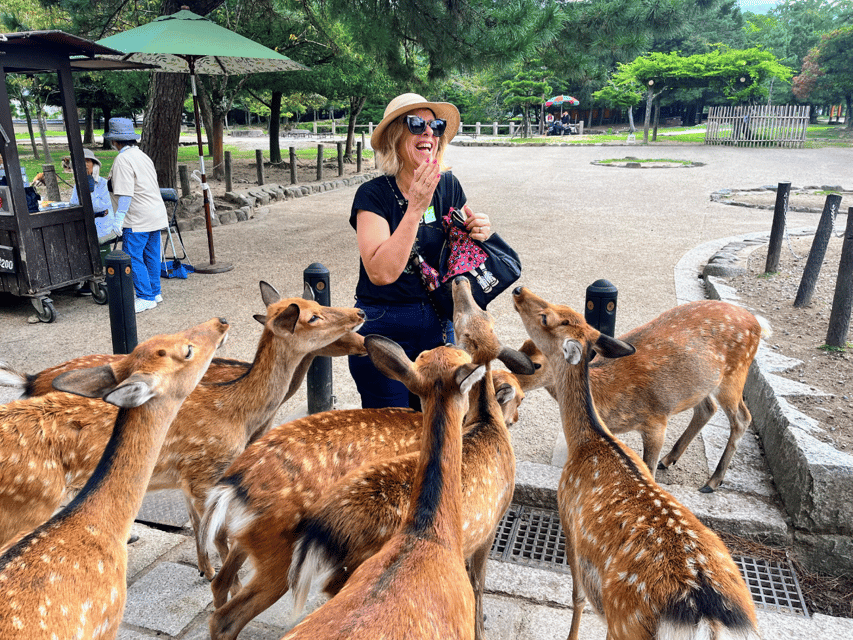 From Kyoto: Nara Guided Morning Tour - Key points to know before booking