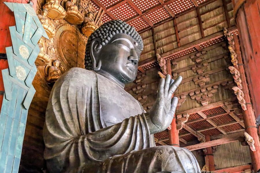 From Kyoto: Nara Guided Morning Tour - Why this short Nara tour works