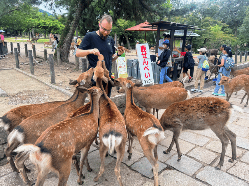 From Kyoto: Nara Guided Morning Tour - Todaiji and the Great Buddha Hall