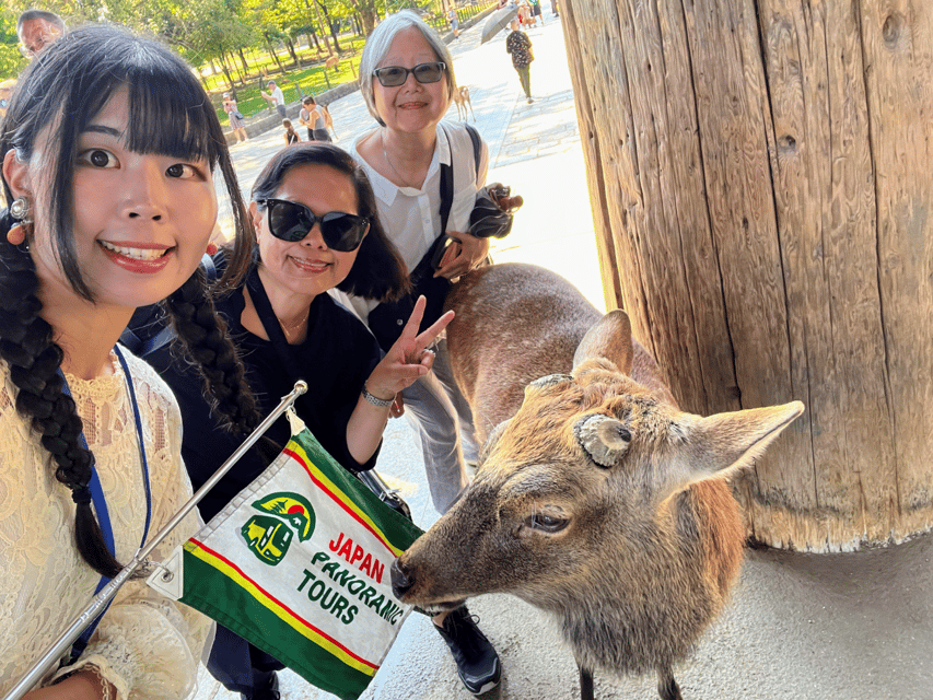 From Kyoto: Nara Guided Morning Tour - Guides, languages, and group comfort